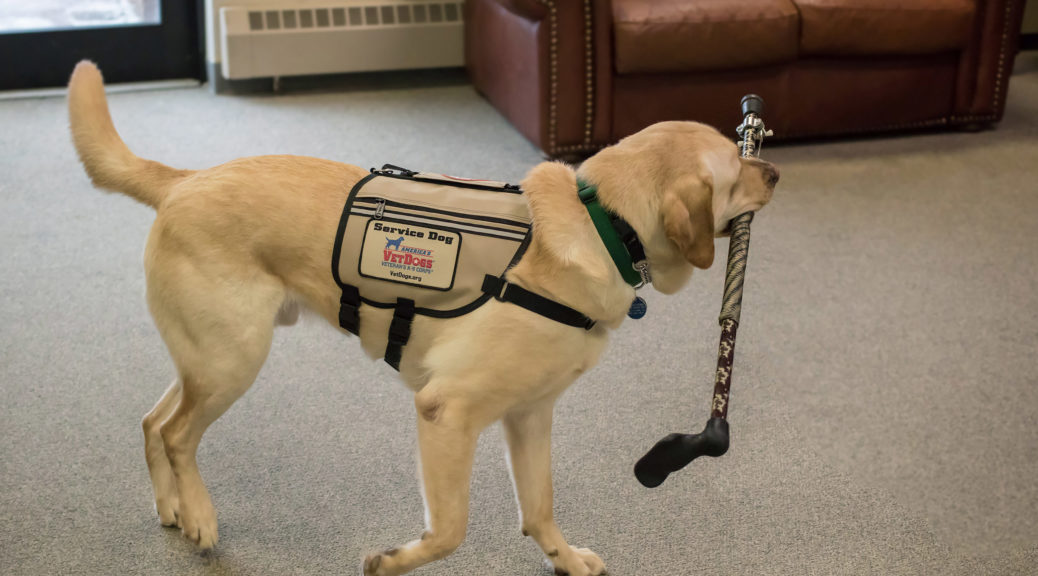 can a landlord charge a pet fee for a service dog